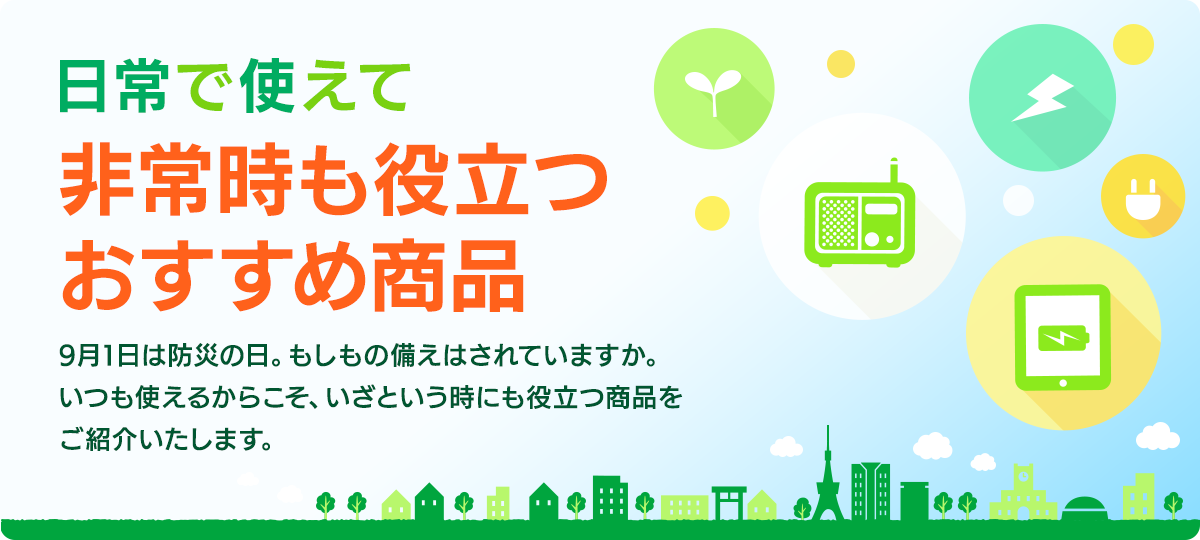 ����Ŏg���� ��펞���𗧂� �������ߏ��i