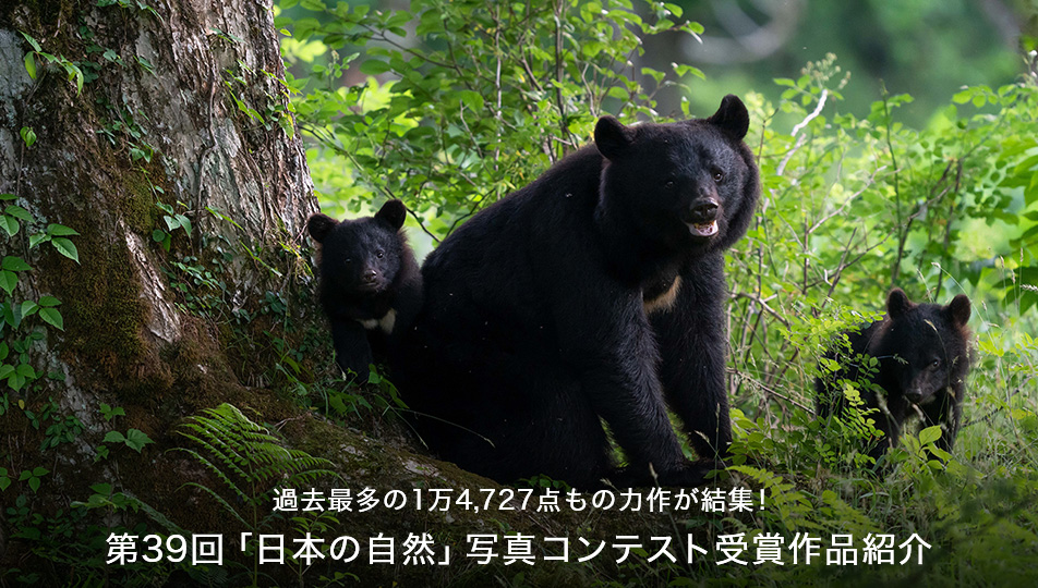 過去最多の1万4,727点もの力作が結集！第39回「日本の自然」写真コンテスト受賞作品紹介