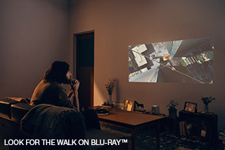 u[CR[_[p\RƌqŁAɊy݂L