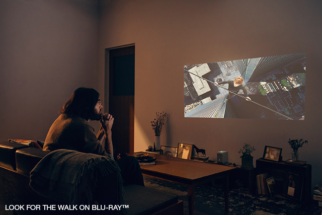 u[CR[_[p\RƌqŁAɊy݂L