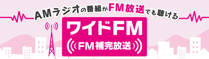 ���C�hFM�ɂ��ďڂ����͂�����