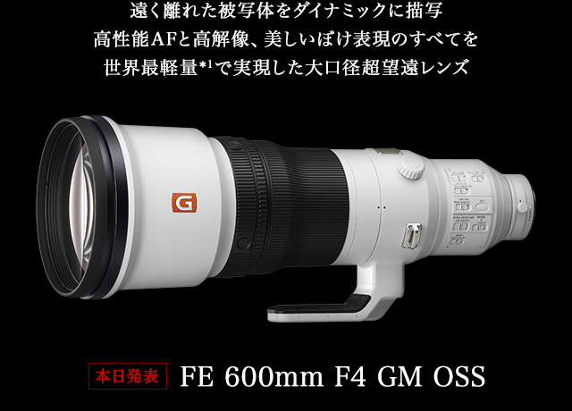 �������ꂽ��ʑ̂��_�C�i�~�b�N�ɕ`�� �����\AF�ƍ��𑜁A�������ڂ��\���̂��ׂĂ𐢊E�Ōy�ʁ�1�Ŏ�����������a���]�������Y �{�����\ FE 600mm F4 GM OSS