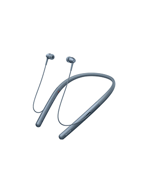 h.ear in 2 Wireless �iWI-H700�j �C���[�W