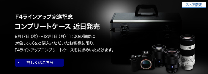 F4���C���A�b�v�����L�O �R���v���[�g�P�[�X �ߓ�����