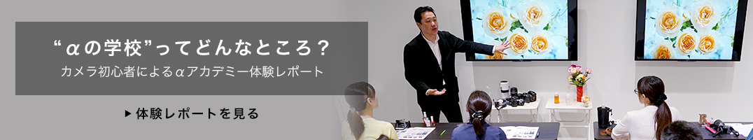 �g���̊w�Z�h���Ăǂ�ȂƂ���?