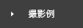 撮影例