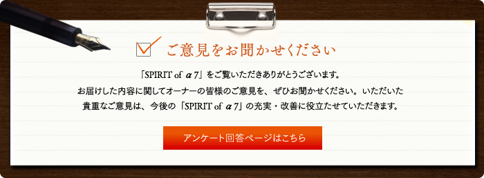 ���ӌ��������������������@�A���P�[�g�񓚃y�[�W�͂�����