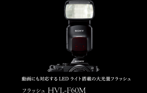 �t���b�V�� HVL-F60M