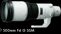 500mm F4 G SSM