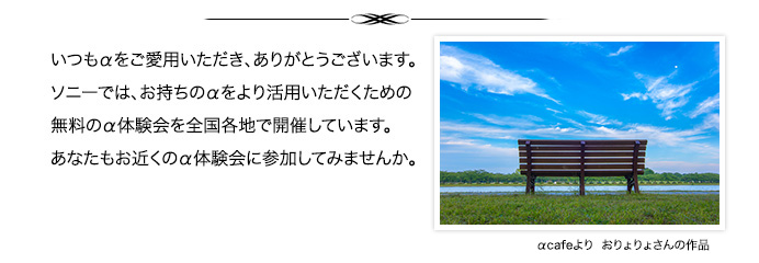 �������������p���������A���肪�Ƃ��������܂��B�\�j�[�ł́A�������̃�����芈�p�����������߂̖����̃��̌����S���e�n�ŊJ�Â��Ă��܂��B���Ȃ������߂��̃��̌���ɎQ�����Ă݂܂��񂩁B