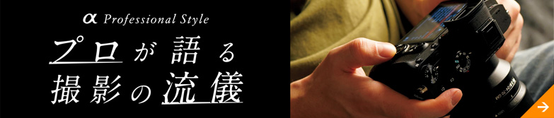 �� Professional Style �v�������B�e�̗��V