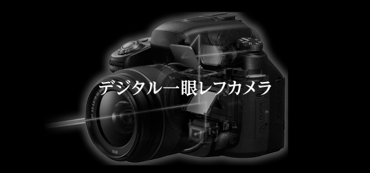 �f�W�^����჌�t�J����