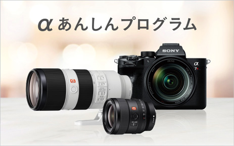 個性の異なる“標準ズームレンズ”特長解説 | ソニー