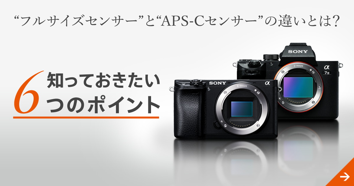 “フルサイズセンサー”と“APS-Cセンサー”の違いとは？ 知っておきたい6つのポイント | ソニー