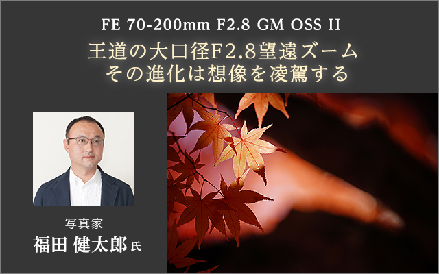 ȗaF2.8]Y[ ̐i͑z𗽉킷vFE 70-200mm F2.8 GM OSS II ʐ^Ɓ@cY 