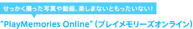 “PlayMemories Online”ivC[YICj