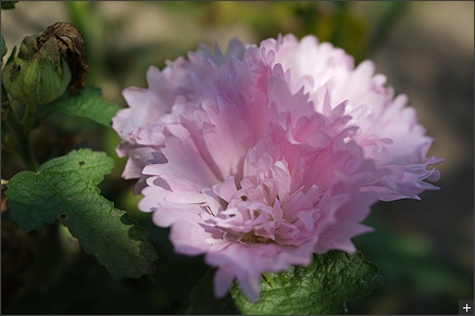 (���2) 1/1000 �b f/3.2 �b ISO64