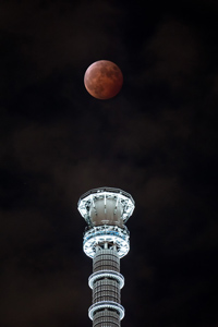 �T�U�G�w�A�[����̍�i