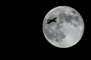 ���[�g10����̍�i