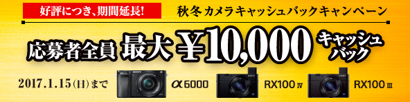 �H�̃J�����L���b�V���o�b�N�L�����y�[��