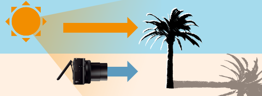 �m ���� �n���z�Ȃǂ̌������J�����̔w��ɂ�����