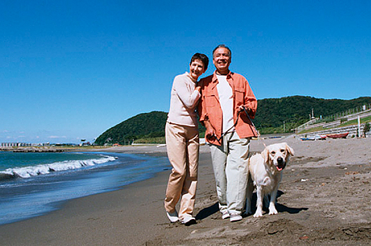 �����Ő��ꂽ���̊C�Ƌ����������c��