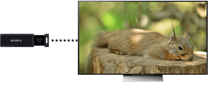 USB�������[�^�������[�J�[�h���[�_�[���g���Ďʐ^������