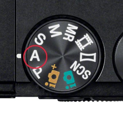 �B�e���[�h��A�i�i��D��j���[�h��