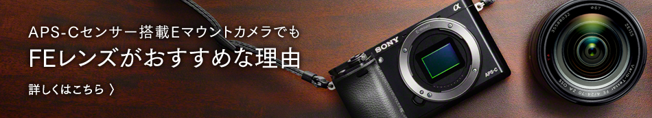 APS-C�Z���T�[����E�}�E���g�J�����ł� FE�����Y���������߂ȗ��R