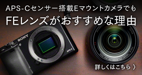 APS-C�Z���T�[����E�}�E���g�J�����ł� FE�����Y���������߂ȗ��R