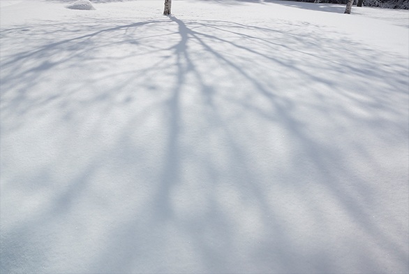 �ጴ�ɒ����L�т��e����ۓI�ɁiA�}�E���g DT 16-50mm F2.8 SSM�j