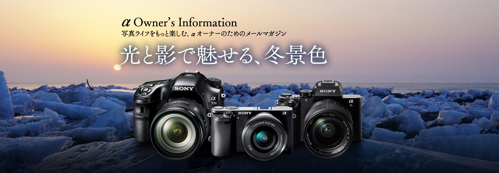 ���Ɖe�Ŗ�����A�~�i�F