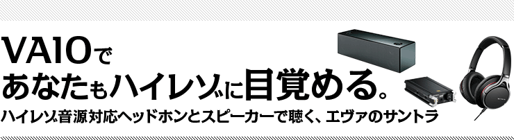 VAIO�ł��Ȃ����n�C���]�ɖڊo�߂�B�n�C���]�����Ή��w�b�h�z���ƃX�s�[�J�[�Œ����A�G���@�̃T���g��