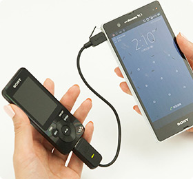 �V���N���^��