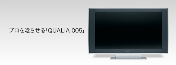 �v����X�点��uQUALIA 005�v