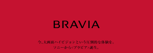 ���A���ʃn�C�r�W�����Ƃ������|�I�ȑ̌����B�\�j�[����<�u���r�A>�a���B