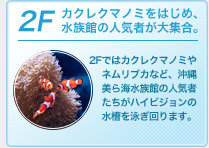 2F�F�J�N���N�}�m�~���͂��߁A�����ق̐l�C�҂���W���B