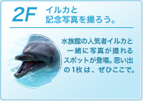 2F�F�C���J�ƋL�O�ʐ^���B�낤�B