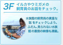 3F�F�C���J��E�~�K���̎�����̂��b���`�F�b�N�B