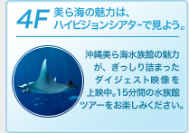 4F�F����C�̖��͂́A�n�C�r�W�����V�A�^�[�Ō��悤�B