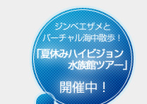 �W���x�G�U���ƃo�[�`�����C���U���I�u�ċx�݃n�C�r�W���������كc�A�[�v�J�Ò��I