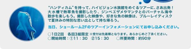 �g�n���f�B�J���h�������āA�n�C�r�W���������ق��߂���c�A�[�ɁA�����o���I�吅���ŔM�ы����B�e������A�W���x�G�U����}���^�Ƃ̃o�[�`�����C���U�����y�������B�B�e�����f����A�D���ȋ��̉f���́A�u���[���C�f�B�X�N�ŉċx�݂̓��ʂȎv���o�Ƃ��Ď����A�낤�B�����A�V���[���[��2F�̃c�A�[�C���t�H���[�V�����ɂĂ��\�����݂��������B�E1��2��@�e��3�g����@�E�J�n���ԁF�i1�j11�F30�@�i2�j15�F30�@�E���v���ԁF��90���@����t�͐撅���ƂȂ�܂��B���炩���߂��������������B