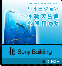 Sony Building�FGINZA