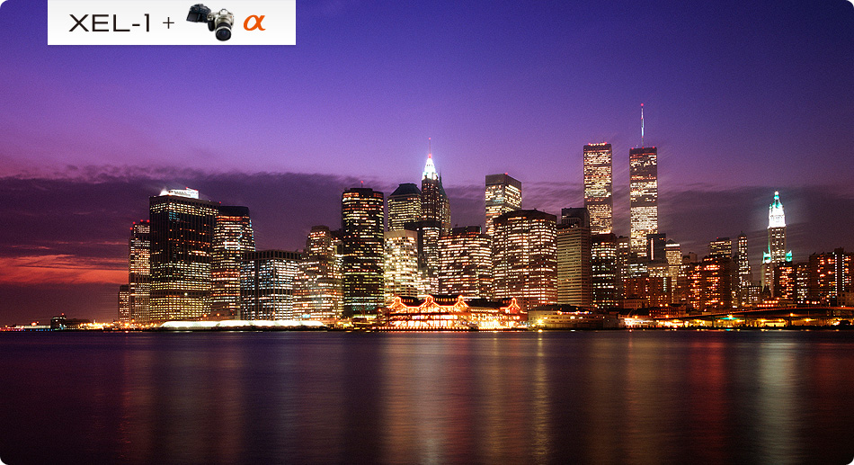 XEL-1+��