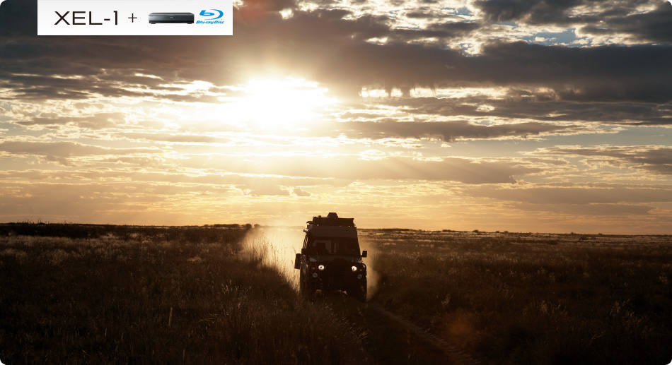 XEL-1+�u���[���C