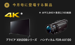 ブラビアX9500Bシリーズ・ハンディカム FDR-AX100