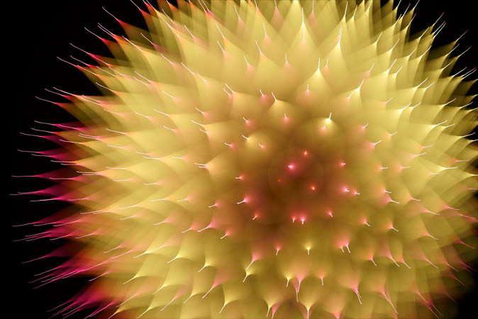 gpJ 7S/gpY SEL90M28G/Vb^[x 1b/Fl 2.8/ISO 100