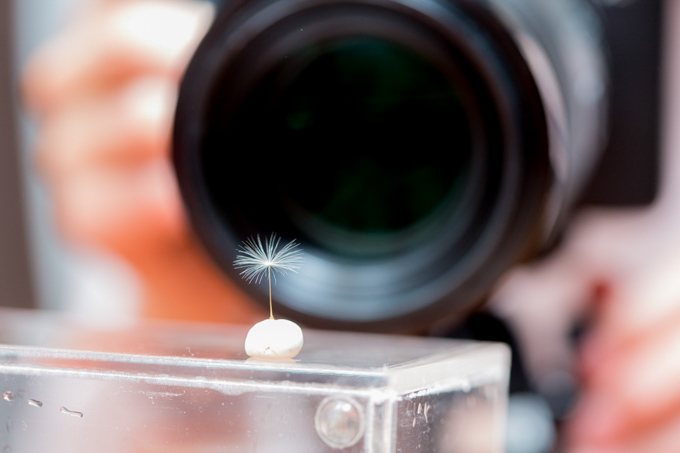 ۂۂ̖ȖтASyۂ߂̂̏ɗ܂B