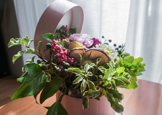 ̏tAȂ}N̐EɁÂނ悤ȔԂ炩Ă݂܂񂩁H