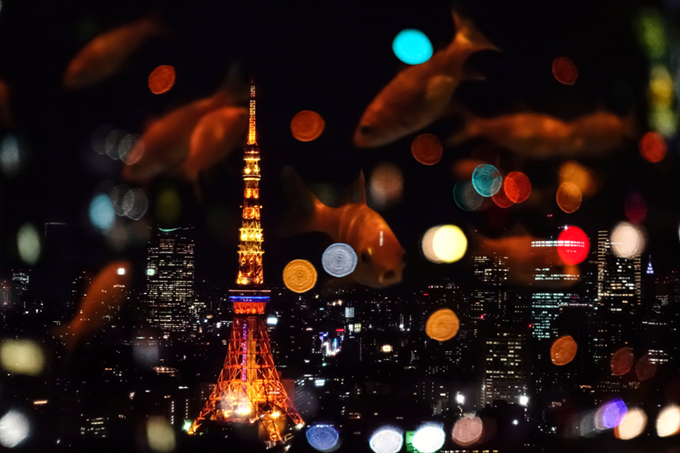 ̂Ȃ̋AAvЂƂœs̖iɉj